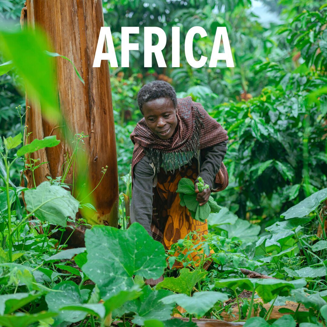 africa